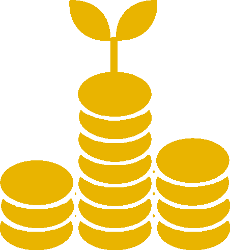 Wealth